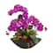 21" Moth Orchid & Mixed Succulent Garden Arrangement in Black Vase